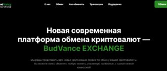 Обзор обменника BudVance (budvance.com)